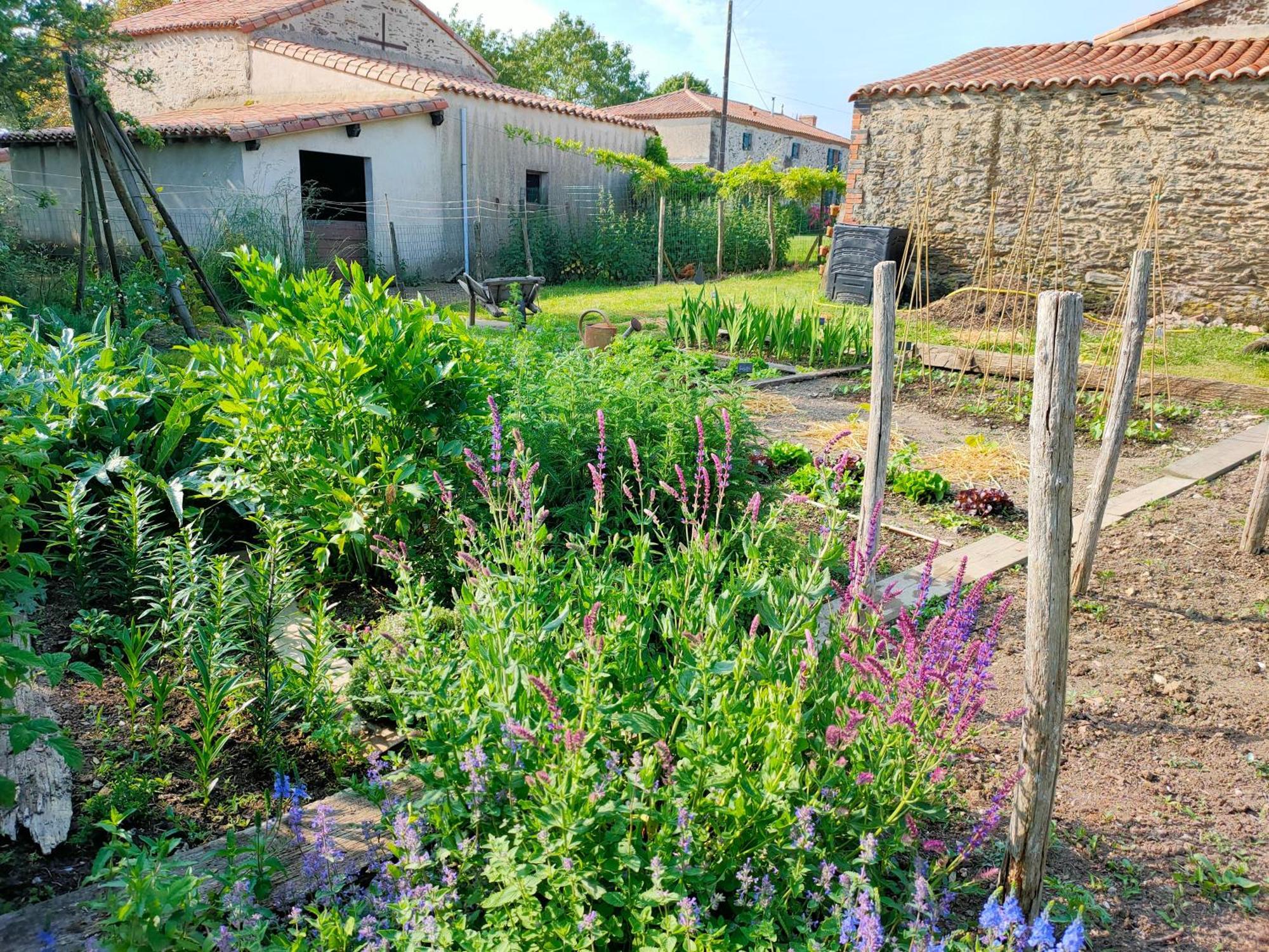 Le Vieux Logis De La Galocherie Sainte-Florence Екстериор снимка
